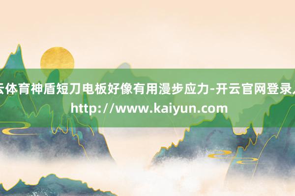 开云体育神盾短刀电板好像有用漫步应力-开云官网登录入口 http://www.kaiyun.com