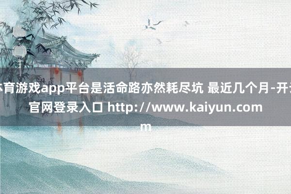 体育游戏app平台是活命路亦然耗尽坑 最近几个月-开云官网登录入口 http://www.kaiyun.com