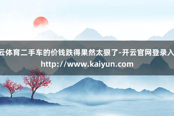 开云体育二手车的价钱跌得果然太狠了-开云官网登录入口 http://www.kaiyun.com