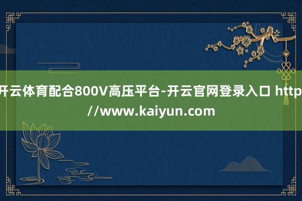 开云体育配合800V高压平台-开云官网登录入口 http://www.kaiyun.com