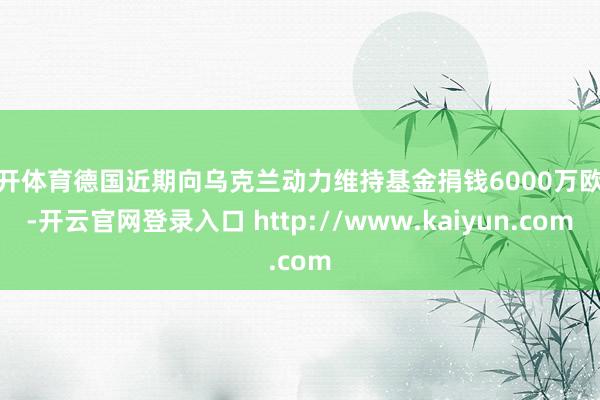 云开体育德国近期向乌克兰动力维持基金捐钱6000万欧元-开云官网登录入口 http://www.kaiyun.com