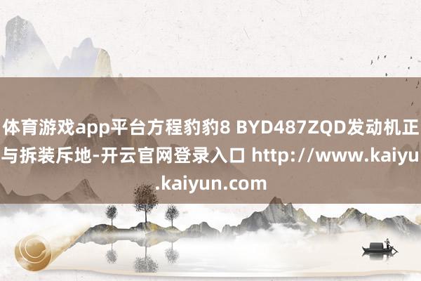 体育游戏app平台方程豹豹8 BYD487ZQD发动机正时对正与拆装斥地-开云官网登录入口 http://www.kaiyun.com