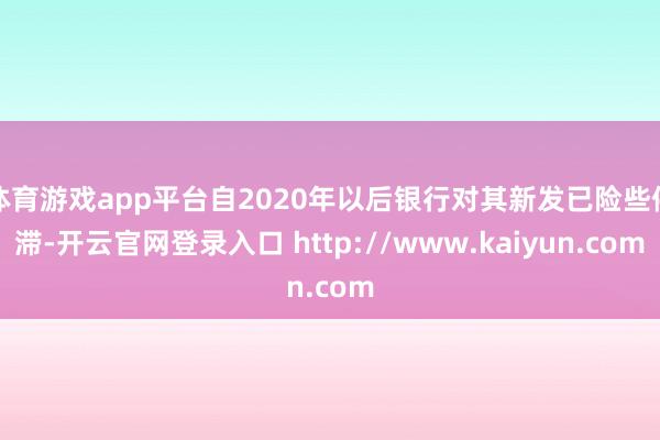 体育游戏app平台自2020年以后银行对其新发已险些停滞-开云官网登录入口 http://www.kaiyun.com