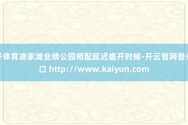 云开体育凌家滩业绩公园相配延迟盛开时候-开云官网登录入口 http://www.kaiyun.com
