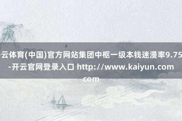 开云体育(中国)官方网站集团中枢一级本钱迷漫率9.75%-开云官网登录入口 http://www.kaiyun.com