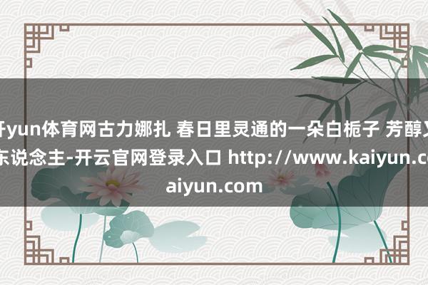 开yun体育网古力娜扎 春日里灵通的一朵白栀子 芳醇又迷东说念主-开云官网登录入口 http://www.kaiyun.com