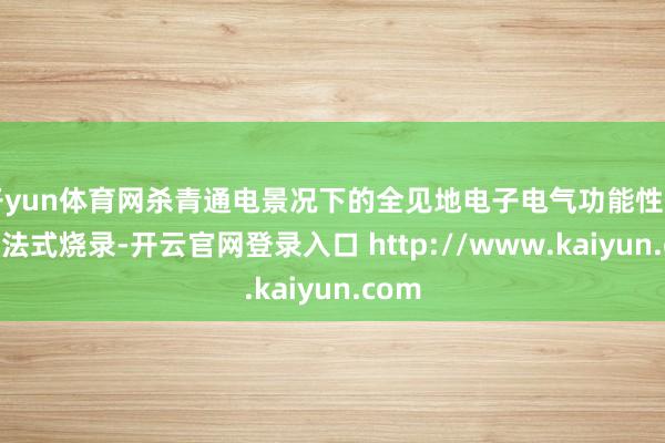 开yun体育网杀青通电景况下的全见地电子电气功能性测试与法式烧录-开云官网登录入口 http://www.kaiyun.com