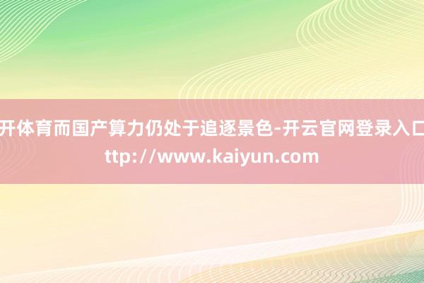 云开体育而国产算力仍处于追逐景色-开云官网登录入口 http://www.kaiyun.com